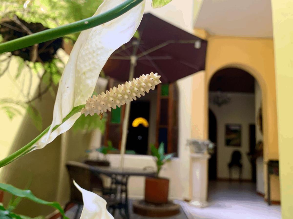 Casa Grande Medellín Exterior foto